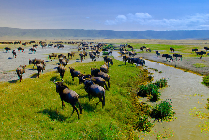 Ngorongoro Crater / Ngorongoro Conservation Area